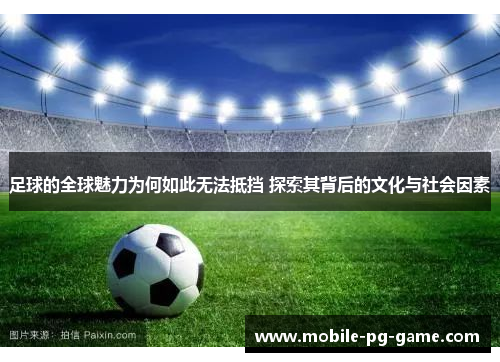 足球的全球魅力为何如此无法抵挡 探索其背后的文化与社会因素