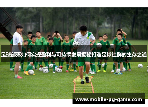 足球部落如何实现盈利与可持续发展揭秘打造足球社群的生存之道