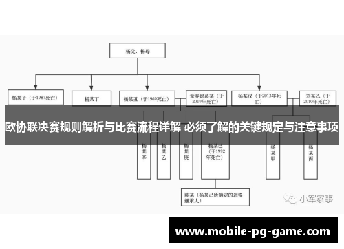 欧协联决赛规则解析与比赛流程详解 必须了解的关键规定与注意事项