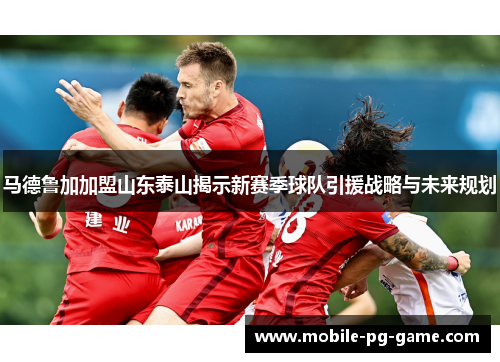 马德鲁加加盟山东泰山揭示新赛季球队引援战略与未来规划